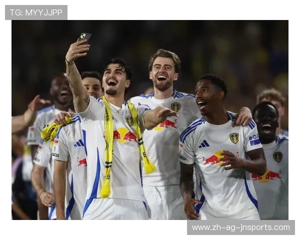 新赛季晋级英超的升班马球队介绍及前景预测