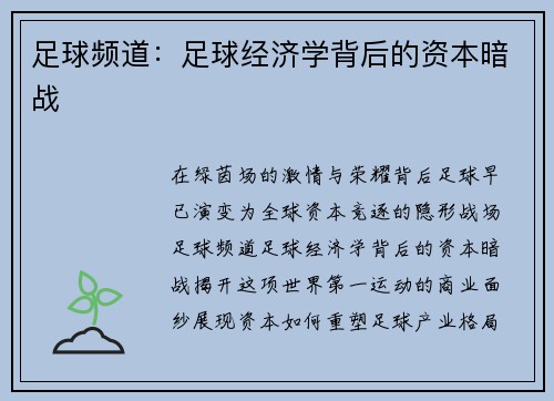 足球频道：足球经济学背后的资本暗战